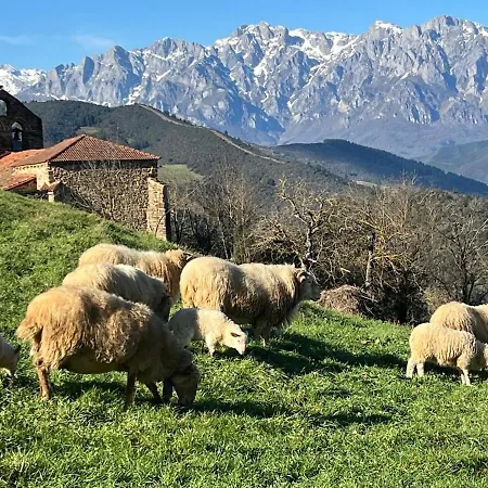 Tatil Evi Casa La Linda